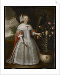 Portrait of a Young Girl with Carnations, c.1663 by Jan Albertsz Rotius