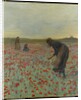 Girls in a Poppy Field, c.1896 by Edmund Montague Morris