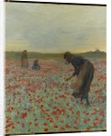 Girls in a Poppy Field, c.1896 by Edmund Montague Morris