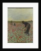 Girls in a Poppy Field, c.1896 by Edmund Montague Morris
