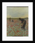Girls in a Poppy Field, c.1896 by Edmund Montague Morris