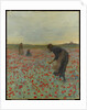 Girls in a Poppy Field, c.1896 by Edmund Montague Morris