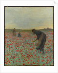 Girls in a Poppy Field, c.1896 by Edmund Montague Morris