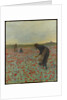Girls in a Poppy Field, c.1896 by Edmund Montague Morris
