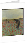 Girls in a Poppy Field, c.1896 by Edmund Montague Morris