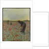 Girls in a Poppy Field, c.1896 by Edmund Montague Morris