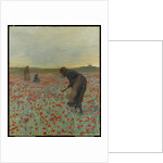 Girls in a Poppy Field, c.1896 by Edmund Montague Morris