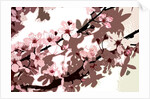 Japanese Blossom by Sarah O'Toole