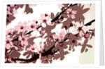 Japanese Blossom by Sarah O'Toole