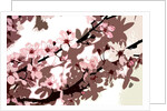 Japanese Blossom by Sarah O'Toole