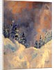 Mist on the Snow Peak, 2009 by Patricia Brintle