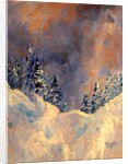 Mist on the Snow Peak, 2009 by Patricia Brintle