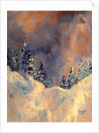 Mist on the Snow Peak, 2009 by Patricia Brintle