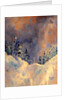 Mist on the Snow Peak, 2009 by Patricia Brintle