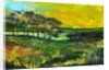 Vers L'Etang de Miragoane, 2010 by Patricia Brintle