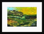 Vers L'Etang de Miragoane, 2010 by Patricia Brintle