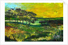 Vers L'Etang de Miragoane, 2010 by Patricia Brintle
