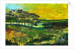 Vers L'Etang de Miragoane, 2010 by Patricia Brintle