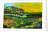 Vers L'Etang de Miragoane, 2010 by Patricia Brintle