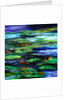 Water Lily Somnolence, 2010 by Patricia Brintle