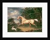 A Palomino frightened by an oncoming storm with a Spaniel, 1814 by Charles Towne