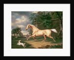 A Palomino frightened by an oncoming storm with a Spaniel, 1814 by Charles Towne