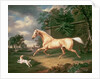 A Palomino frightened by an oncoming storm with a Spaniel, 1814 by Charles Towne