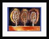 Blazing Trees, 1996 by Peter Davidson