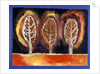 Blazing Trees, 1996 by Peter Davidson