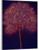 Gold Tree, 1997 by Peter Davidson