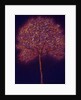 Gold Tree, 1997 by Peter Davidson