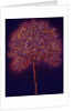 Gold Tree, 1997 by Peter Davidson