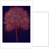 Gold Tree, 1997 by Peter Davidson