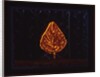 The Glowing Bush, 1996 by Peter Davidson