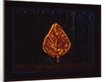 The Glowing Bush, 1996 by Peter Davidson