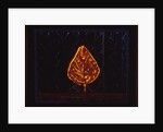 The Glowing Bush, 1996 by Peter Davidson