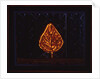 The Glowing Bush, 1996 by Peter Davidson