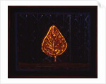 The Glowing Bush, 1996 by Peter Davidson