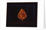 The Glowing Bush, 1996 by Peter Davidson