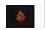 The Glowing Bush, 1996 by Peter Davidson