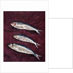 Three Fish, 1997 by Peter Davidson