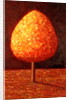 Sun Drenched Tree, 1996 by Peter Davidson