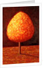Sun Drenched Tree, 1996 by Peter Davidson