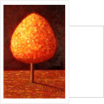 Sun Drenched Tree, 1996 by Peter Davidson