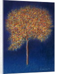 Tree in Blossom, 1997 by Peter Davidson