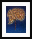 Tree in Blossom, 1997 by Peter Davidson
