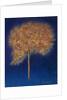Tree in Blossom, 1997 by Peter Davidson