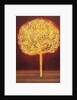 Blossoming Tree, 1997 by Peter Davidson