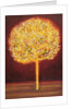 Blossoming Tree, 1997 by Peter Davidson