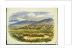 View near Damieh, Jordan Valley, 1874 by Claude Conder
